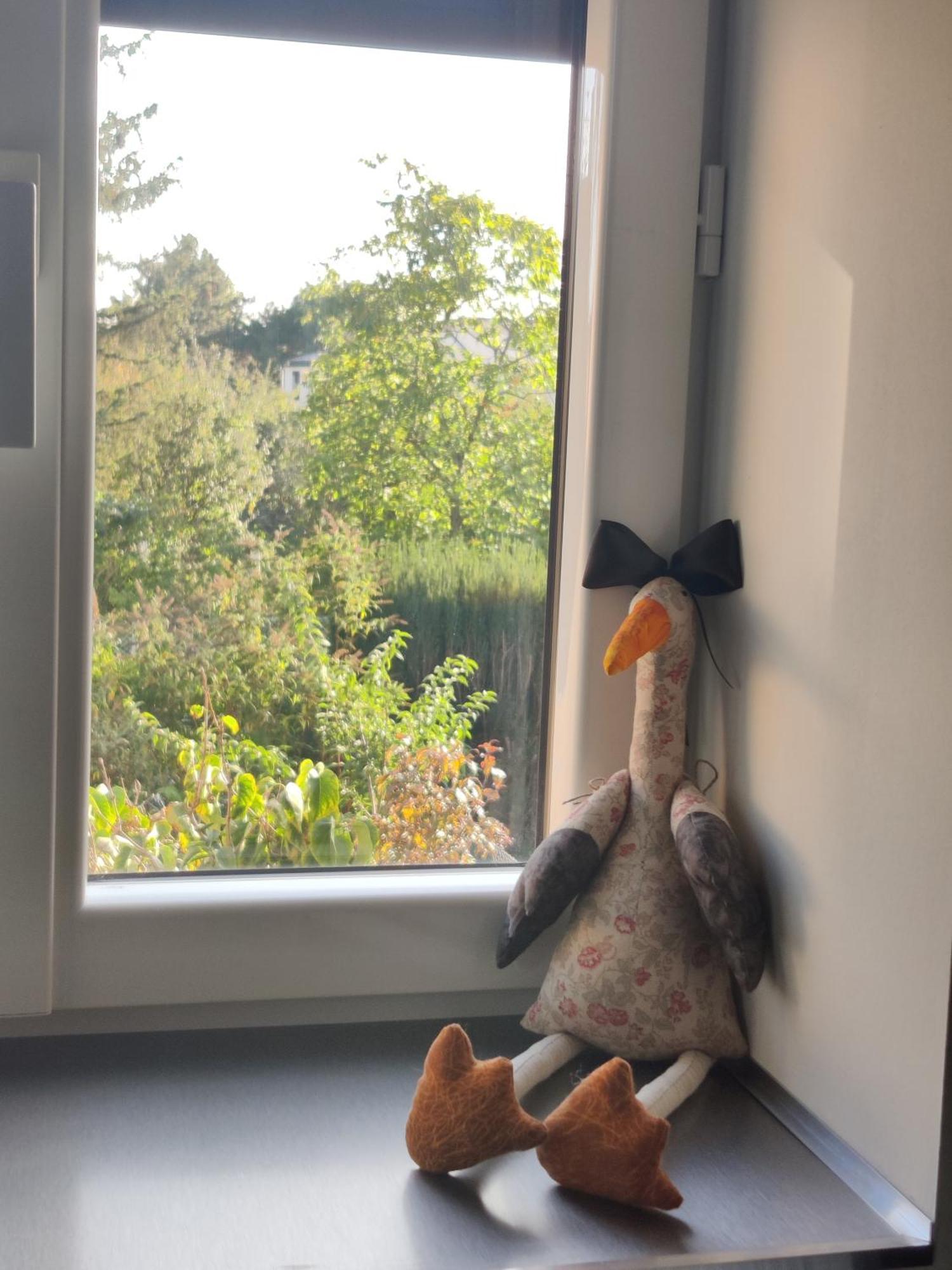 Appartement Cosy Sausheim Zewnętrze zdjęcie